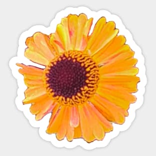 Short and sassy Helenium sneezeweed plant Bright orange yellow flower Sticker